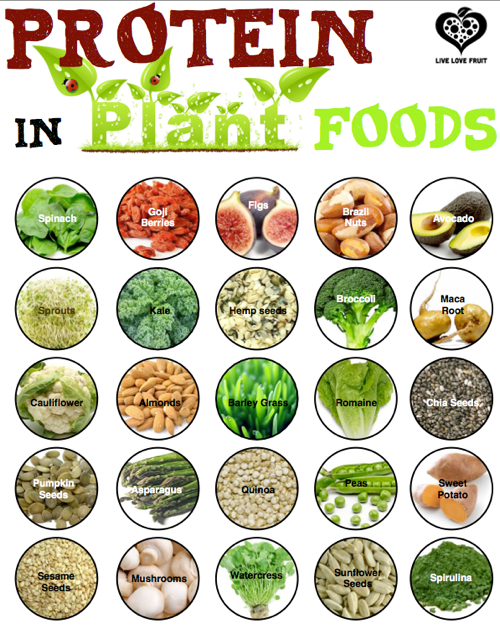 Protein-In-Plant-Food