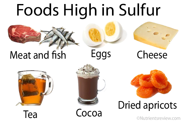 Foods-High-in-Sulfur