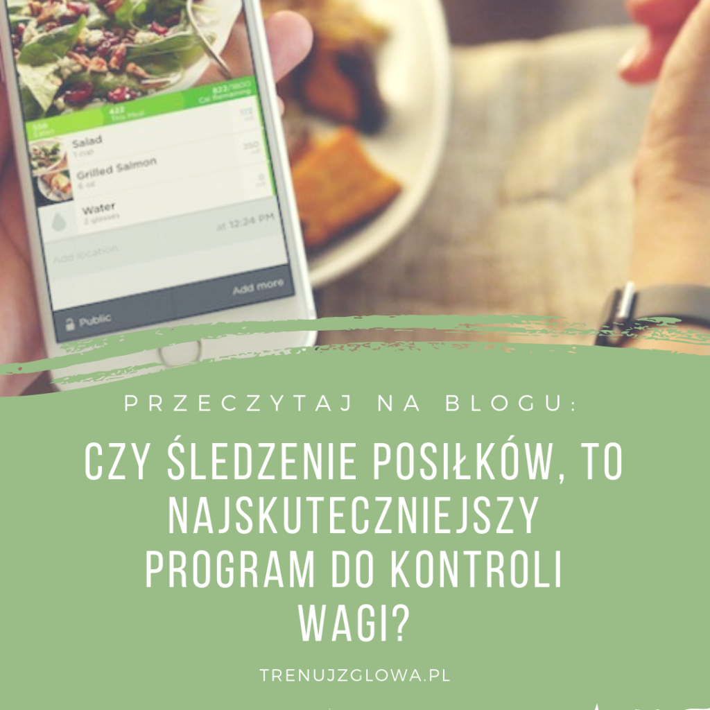 plan posiłków