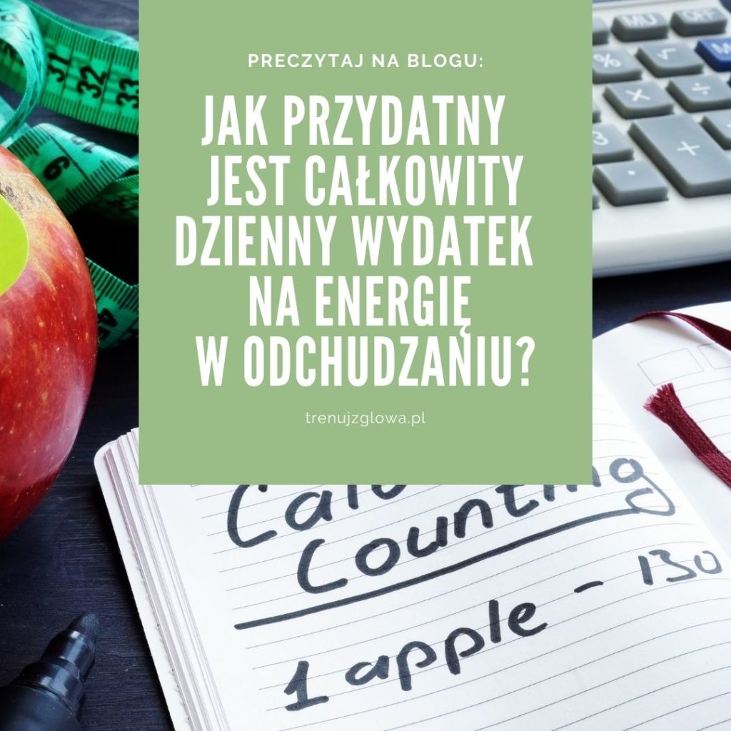 całkowity dzienny wydatek na energię