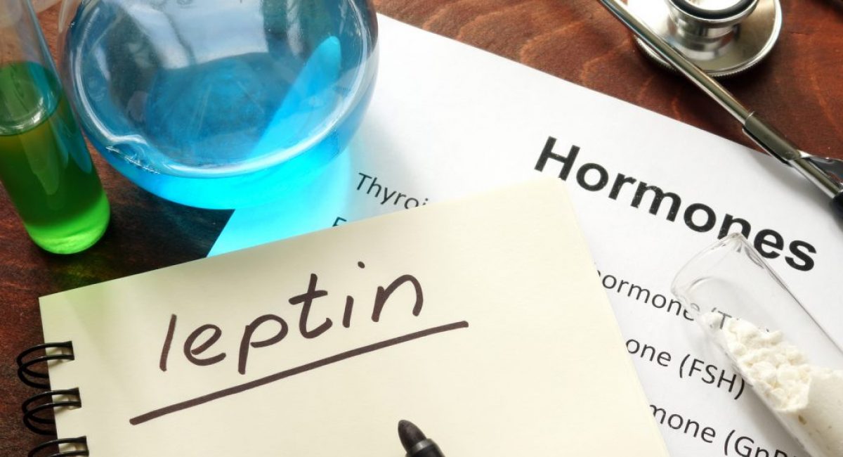 hormon otyłosci